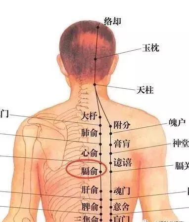 腧穴|神奇的八会穴，拍打可调理多种疾病！