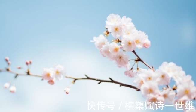 新事物|步入11月,4个星座,温暖贴心,照顾伴侣,爱情顺风顺水