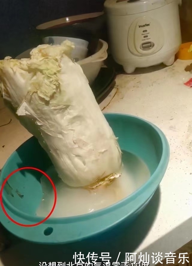 自从被封杀后,51岁阿宝的近况凄惨