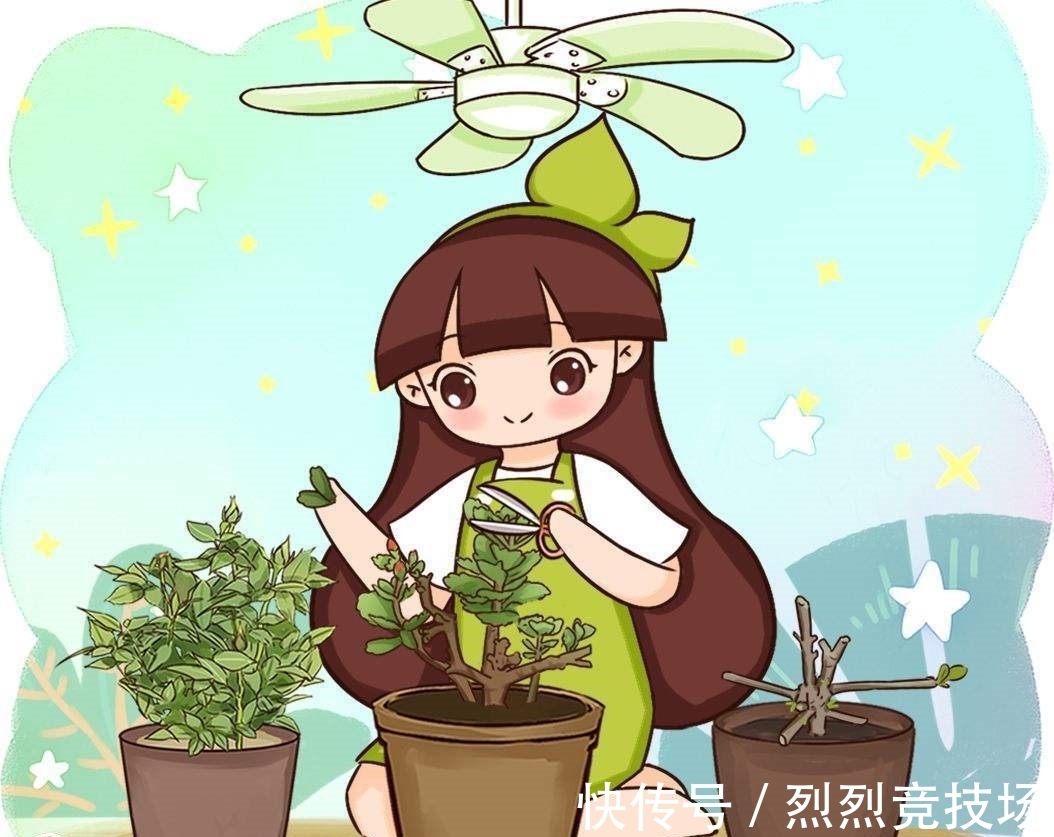 满盆|长寿花如何让它更“长寿”?仅需4步,小花苞就能开满盆