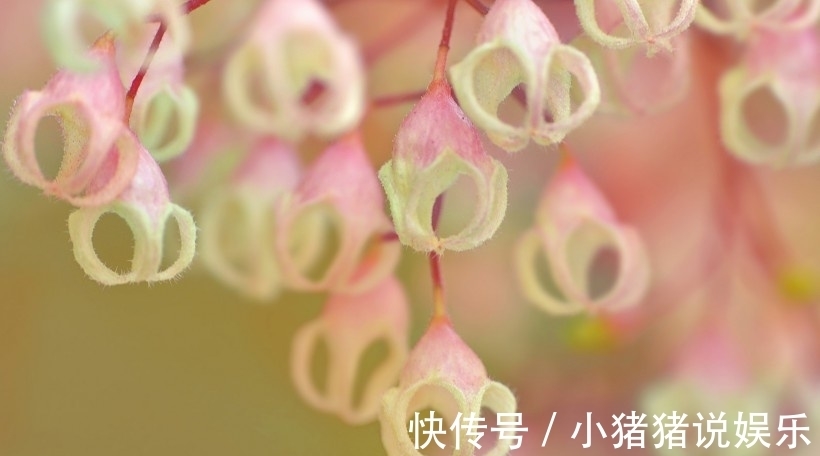 水瓶座|不会随便追求人的星座,虽然不擅长追女生,但是却很容易让人敬重