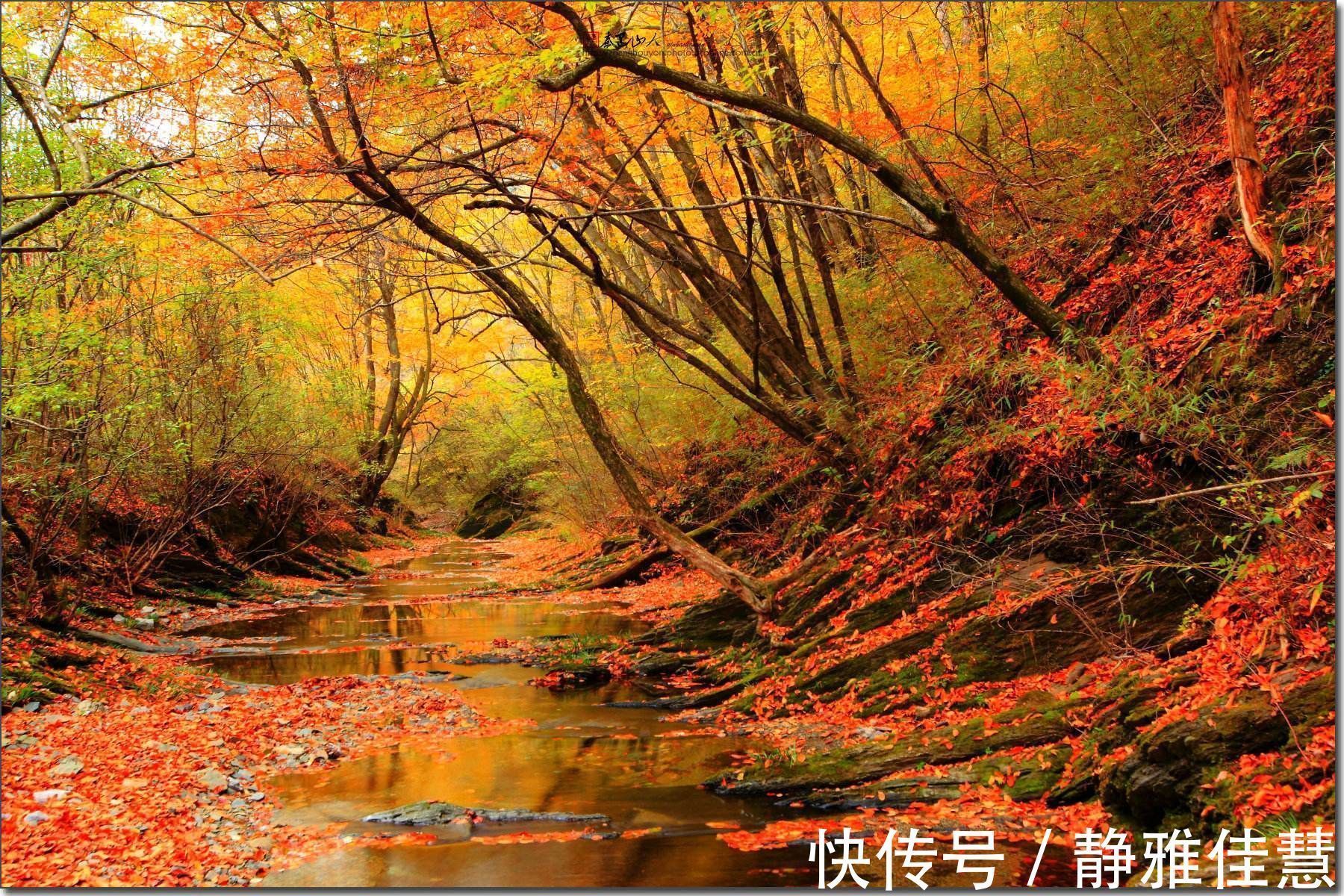 中国文学史@陶渊明五十岁写的一首诗,最后四句堪称经典,表达对生命的领悟