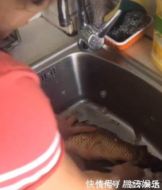 玩具|宝妈把孩子养的鱼炖了,5岁女儿忍不住悲伤大哭,含泪吃掉两碗饭