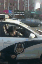 |搞笑GIF:据说看不懂的都是纯洁的好孩子