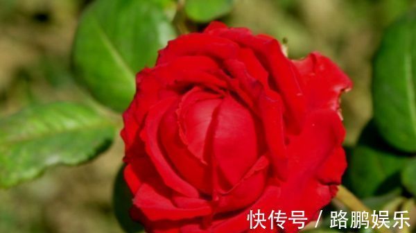 巳时|出生在以下时辰的孩子,个个“文曲星”,孝顺懂事,长大有出息