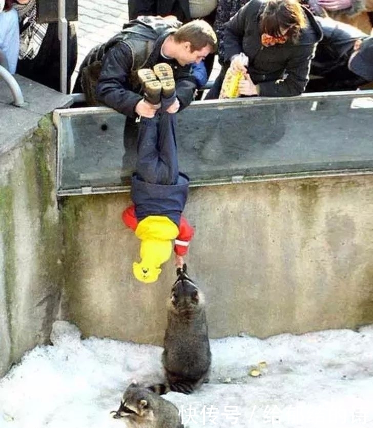 妈妈们|不要让男人单独带娃，因为画面太美了