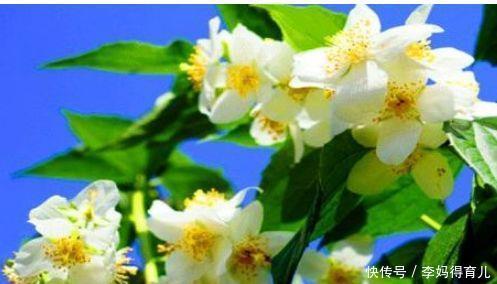 对身体最好的3种食物,营养丰富、延缓衰老,早吃早健康!