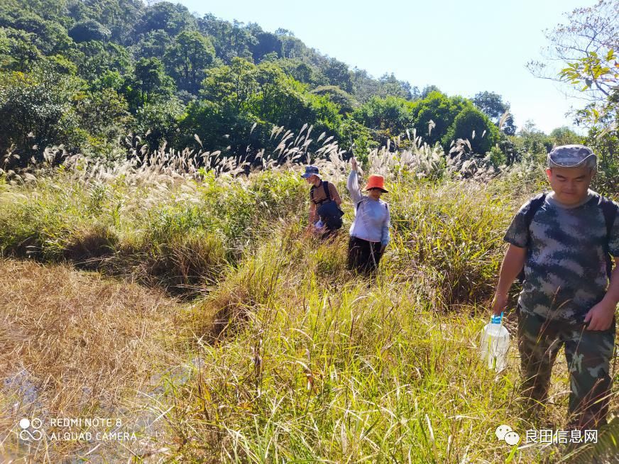 高峰|探寻揭西第一高峰附近的仙人塘古庵遗址