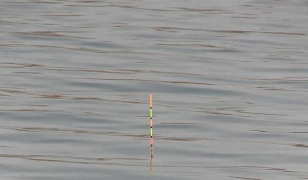 技巧|调漂技巧:同样的调目和钓目,为何双饵状态效果不同,灵钝不同?