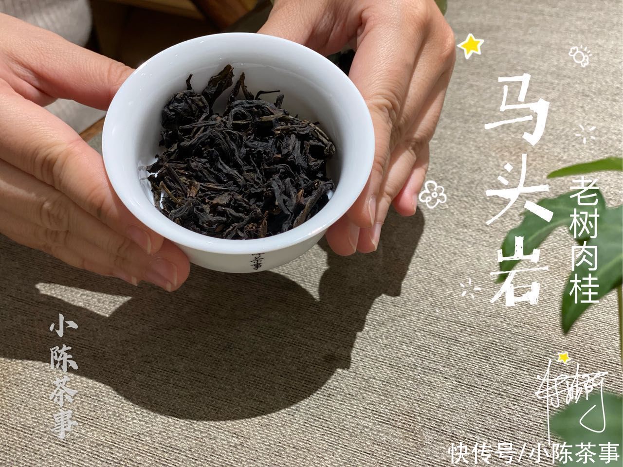 正山小种|条索碎的正山小种，属于红碎茶吗？不，看来你还不懂红茶的分类