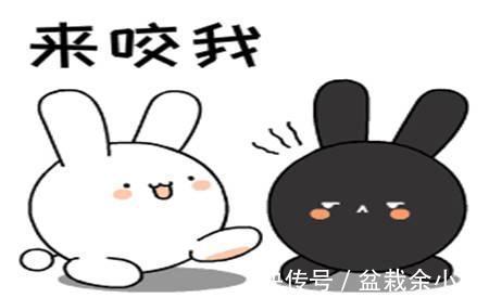 |幽默笑话:今天跟一男生相亲的时候,他的电话一直响个不停