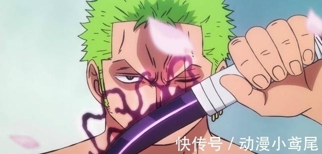 技能|索隆为什么没有霸王色霸气?只因尾田给了他更为强大的技能
