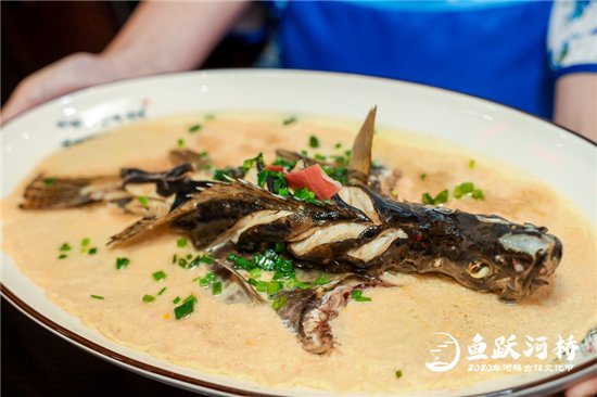 临安|临安鱼鲜11道风味抓住味蕾 河桥古镇乡贤联谊共话家乡发展