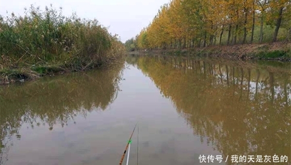 早春钓鲫鱼,别光盯着水底,注意还可以“打浮”,钓大鲫鱼更容易