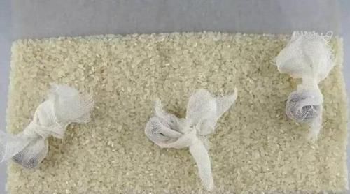 一日三餐|大米最“忌”储存在这3个地方，教你5招，大米放上一年都不会坏