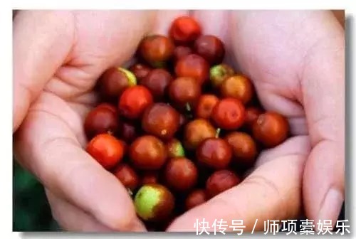 苹果|农村野果，连鸟儿也不吃，但一个营养顶75个苹果