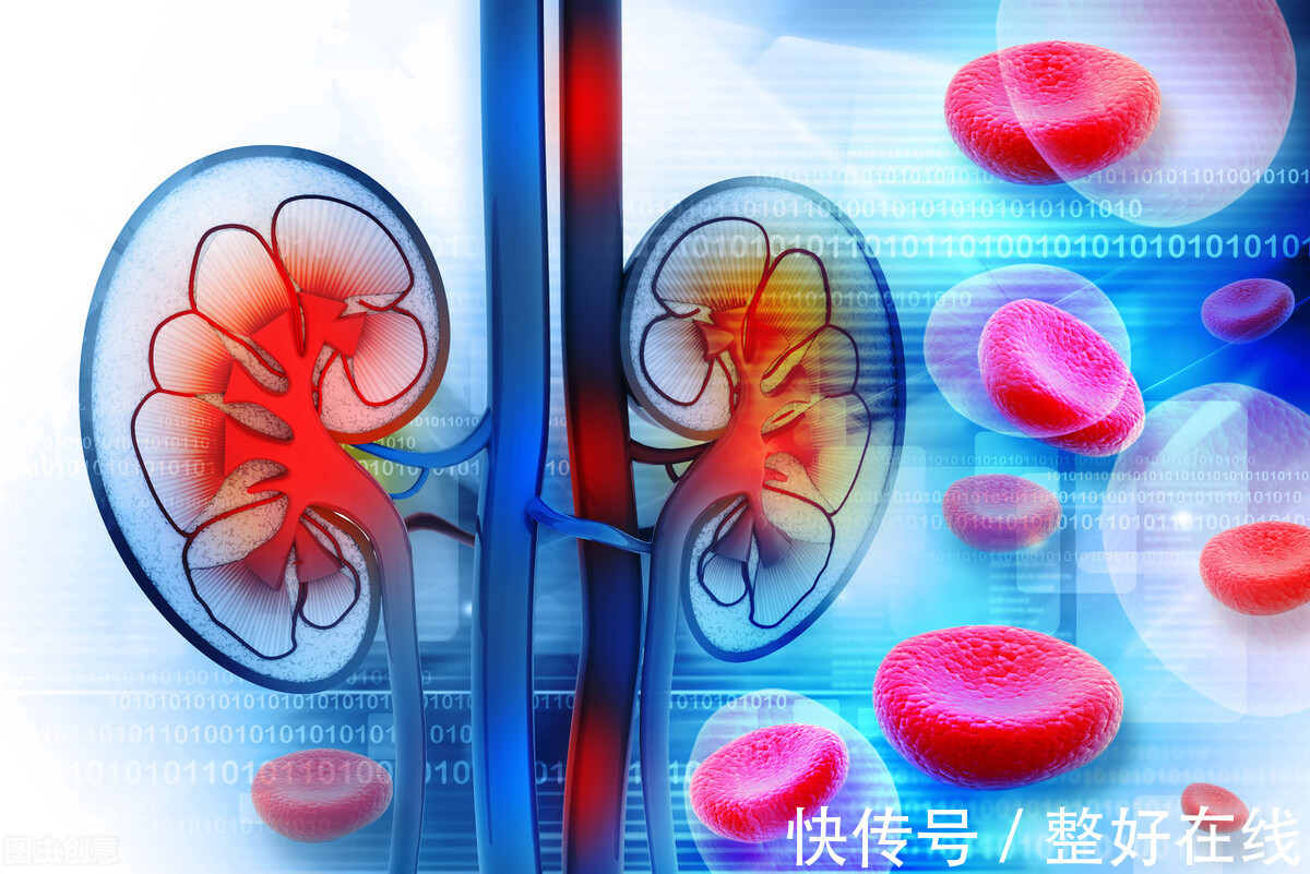 肾炎|5个医生常讲的肾炎发病缘由,日常注意5个预防小妙招,远离肾病