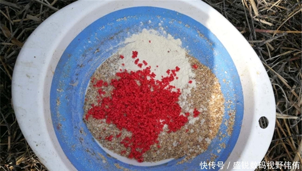 野钓|夏季野钓杂鱼“穷凶极恶”,变饵料未必有效,更靠谱的是变钓法!