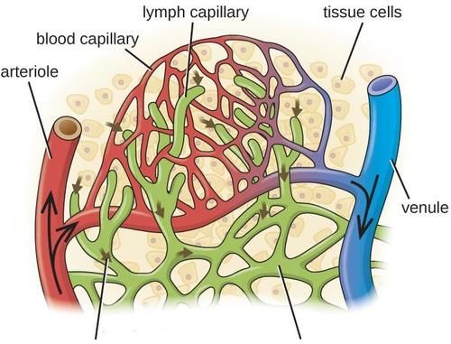 控制血压|规律降压，5年后却肾衰竭？医生：3个错误，很多人都在犯