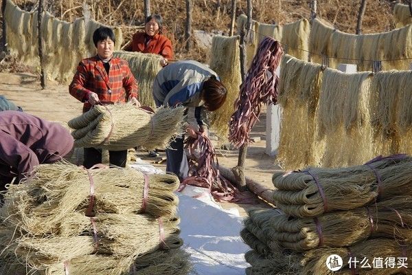 冬天买粉条，如何辨别是否添加明胶？掌握这3个小技巧，轻松辨别