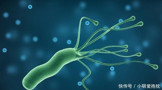 四联药|查出幽门螺杆菌感染,不管不顾,会慢慢出现4个结果,难以承受!