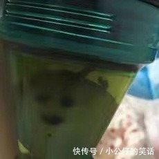 阴间|“千万!不要!随便在淘宝乱搜索啊!”哈哈哈沙雕卖家想笑死我……