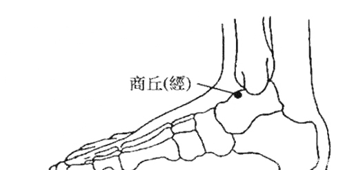 漏谷穴|脾若有病,人废一半!打通这条经络,重病、急病、怪病难上身!