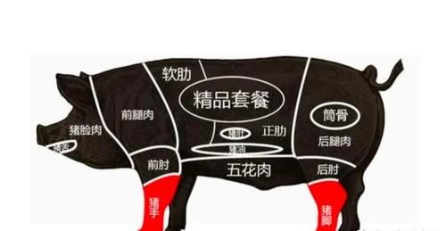 如何分辨猪手跟猪脚？