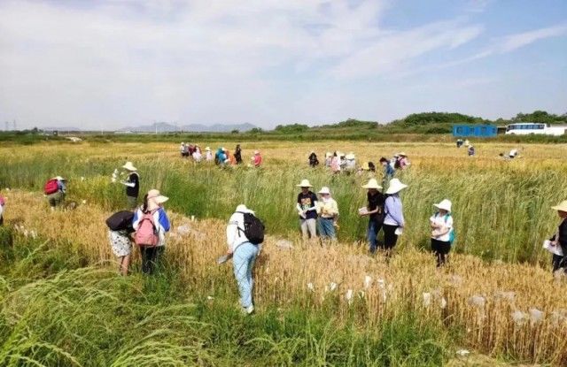 谁说农业大学就是种地？我们还赶猪、抓虫、做饭……