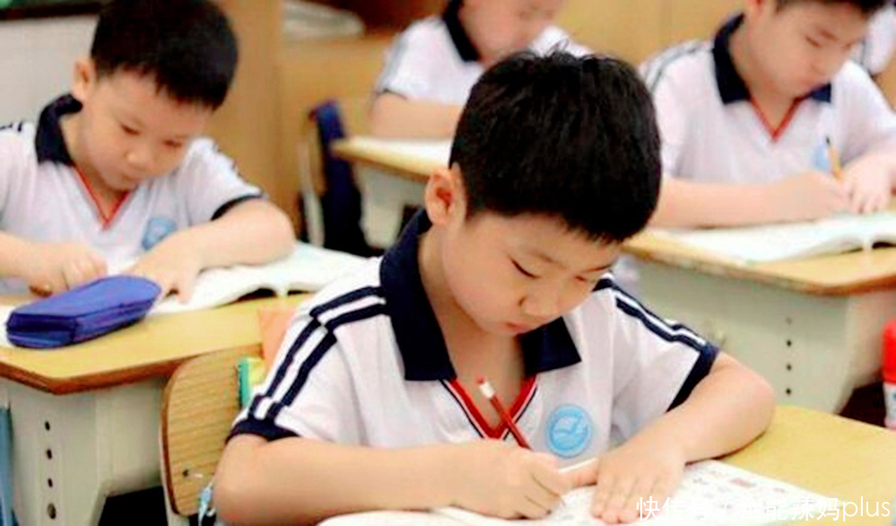 眼泪|小学生“满分作文”爆红,老师笑出了眼泪 :这智商长大不得了