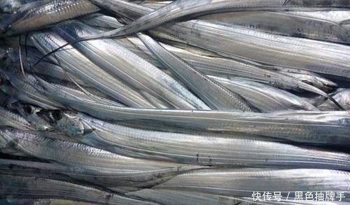 银粉|带鱼表面的银粉能吃吗?内行人道出原因,为家人健康,不妨看看