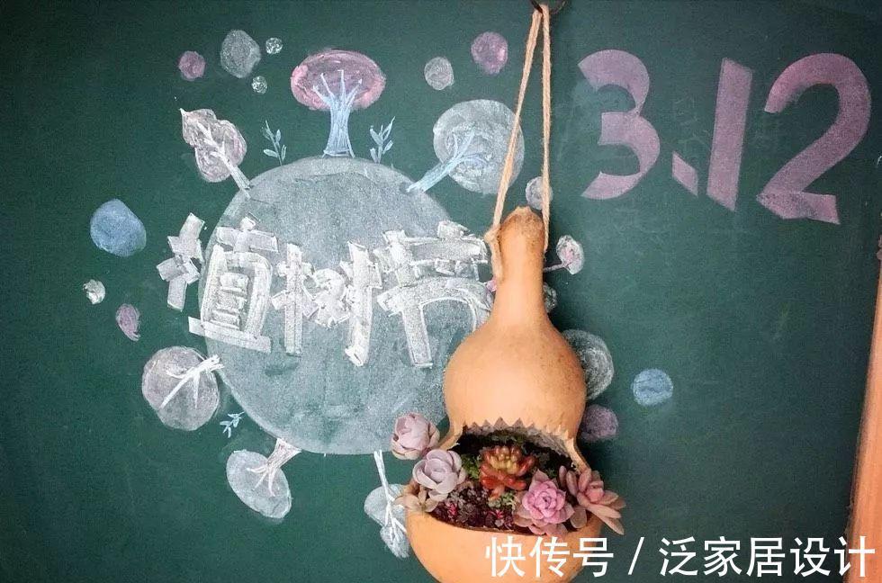叶插|用葫芦种多肉，一养就是三年，邻居给钱都不卖