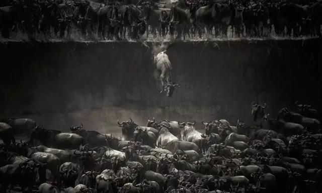 互联网|房地产跌倒,互联网大佬吃饱?