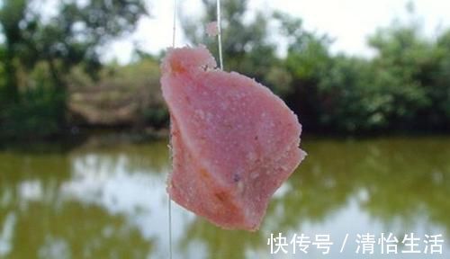 鱼层|三伏天鲢鳙最好钓,手竿钓鲢鳙,这种钓法最犀利,一钓一个准!