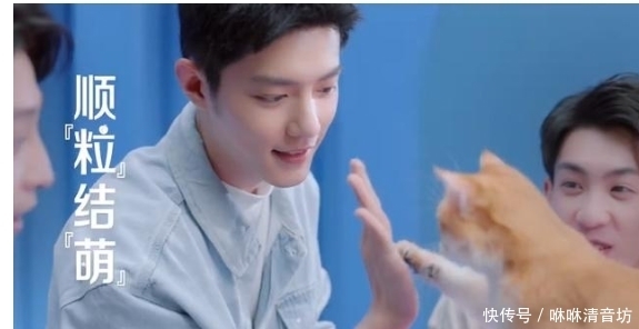 肖战开年商务接踵而至,比本尊营业还积极,影视综也来了