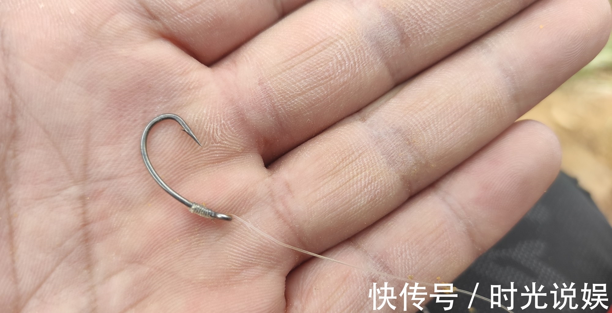 手竿|钓鲤鱼我就服这种鱼钩“从不跑鱼”伊势尼千又等钩都要靠边站