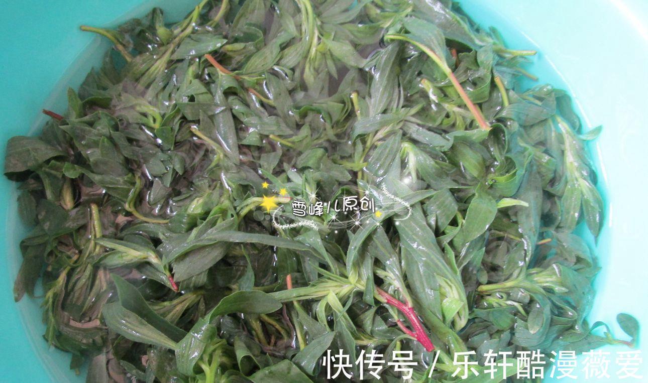 皮薄馅大|夏天包饺子,这馅比肉馅都香,皮薄馅大味道好,孩子都能吃一盘