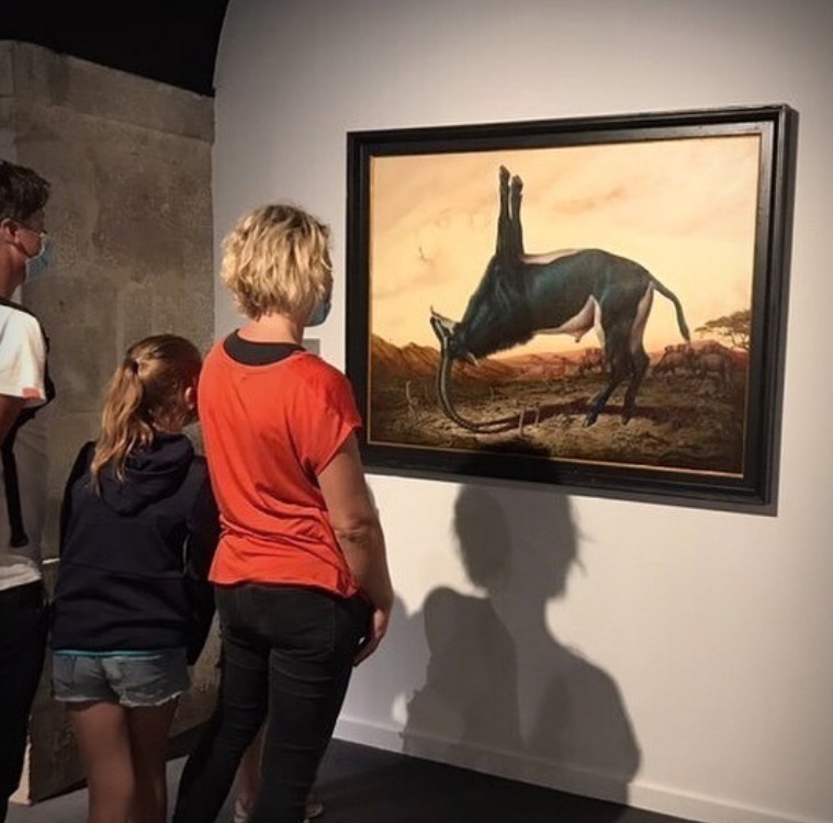 动物们&胆小谨点,插画师笔下的诡异动物看完一秒清醒!