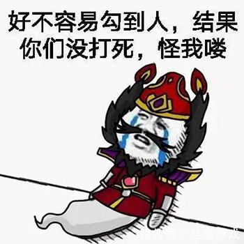 队友|王者荣耀：开局你最不希望看到队友秒选哪些英雄？