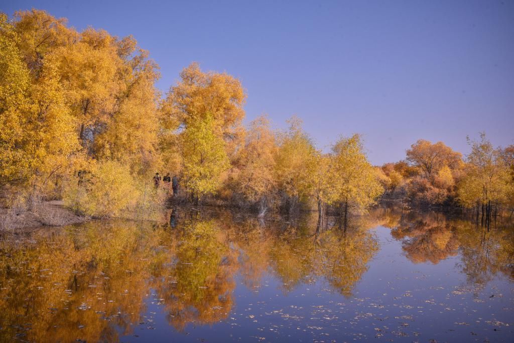 发射 中国航天的摇篮城市,国内的第一颗人造地球卫星就在这里发射