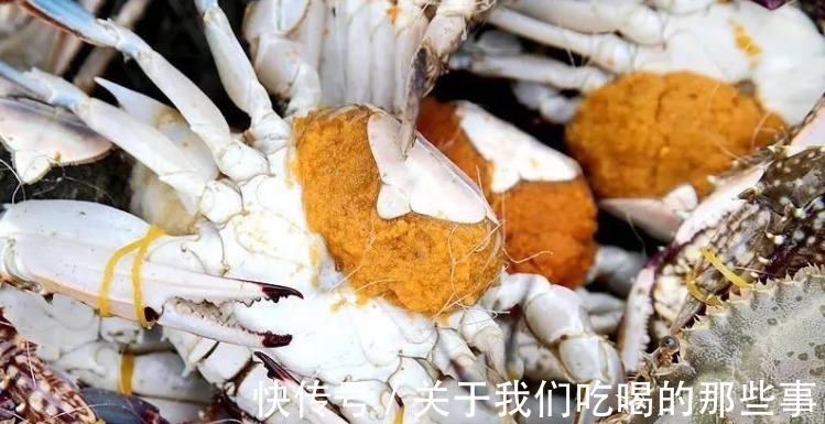 死蟹|挑梭子蟹,个头大未必好,渔民教你4招,个个肉多黄肥,鲜美好吃
