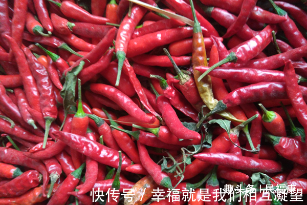 五花肉|高血压除去不能吃盐,还不能吃什么有5类食物尽量少吃