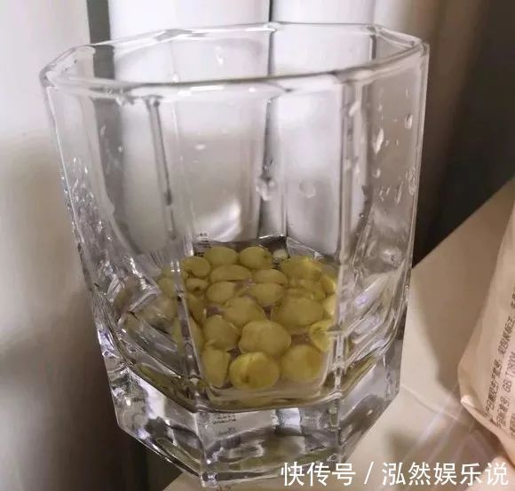 发芽|君子兰还在买种子丢盆里就发芽,一次播种30盆,很快变大户!