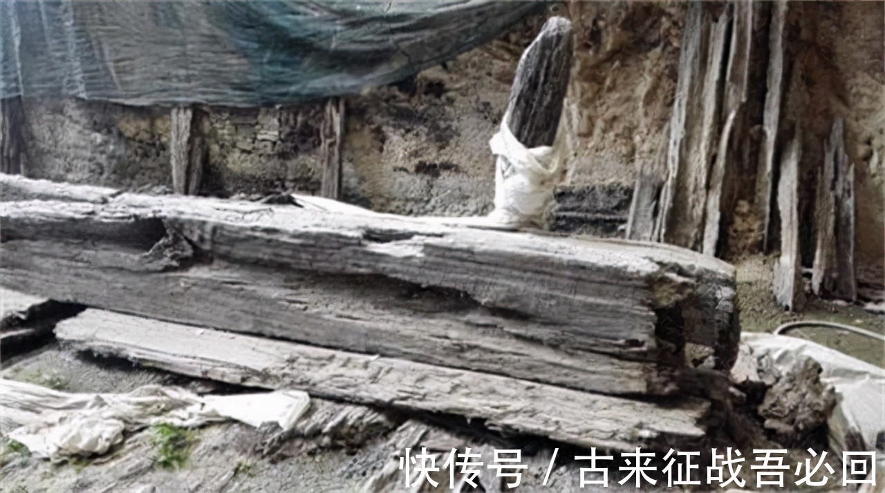 赵建新|江苏出土1男34女合葬墓,墓中文物感动专家:2000年前的“狗粮”