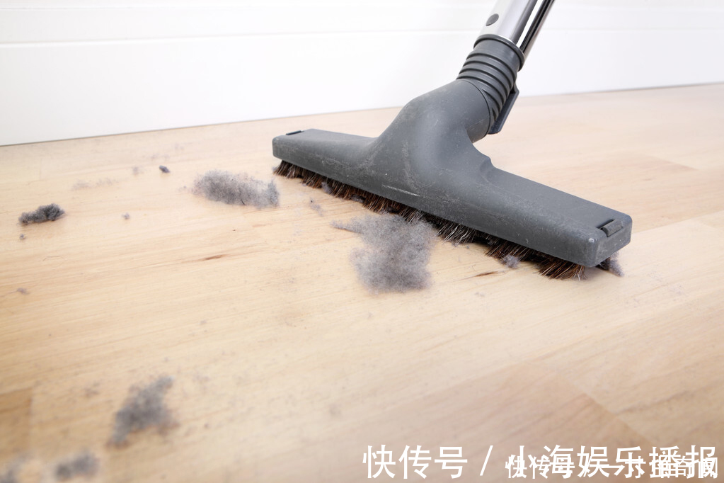 毛发|刚打扫完室内卫生,就又出现了尘絮,这些灰尘是怎么凭空出现的?