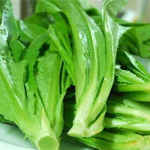 会吃的人更健康，几种离不开，补充营养，促进
