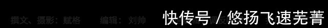 张竞生|Sunday Read｜徒步去南极！