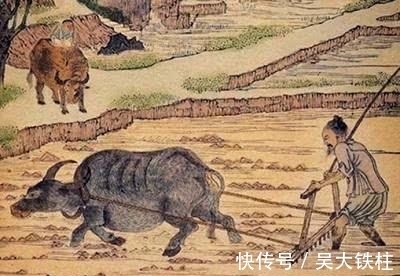 老农|袁天罡和一老农打赌,算完卦后感觉胜券在握,结果输的一败涂地