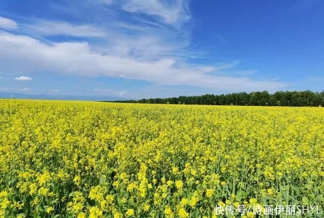 塞外江南的花海世界