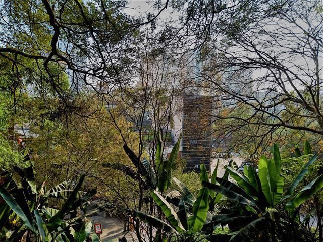 融化|温州又一公园走红，面积10.5公顷就在市区，景美人少还免门票